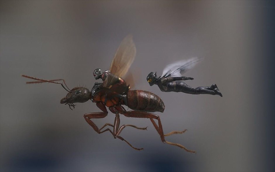 Ο Ant - Man και η Σφήκα. Ο Ant - Man και η Σφήκα:&nbsp;Μετά τις περιπέτειές του με τους Εκδικητές στο «Captain America: Εμφύλιος πόλεμος», ο ήρωας της Marvel έρχεται αντιμέτωπος με τις συνέπειες των επιλογών του ως σούπερ ήρωας και ως πατέρας, στην περιπέτεια φαντασίας του Πέιτον Ριντ.&nbsp;Ενώ προσπαθεί να ισορροπήσει την κανονική του ζωή με τις ευθύνες του ως Ant - Man, καλείται να ξαναφορέσει τη στολή του&nbsp;για μια επείγουσα αποστολή. Παίζουν οι Πολ Ρουντ, Εβάντζελιν Λίλι, Μισέλ Φάιφερ, Μάικλ Ντάγκλας και Λόρενς Φίσμπερν.