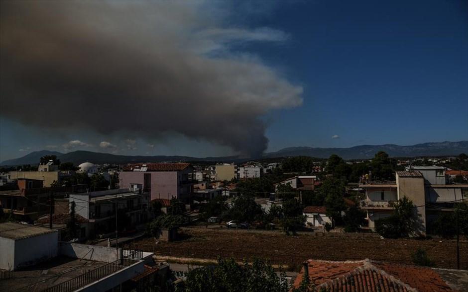 Πυρκαγιά στην Εύβοια. 