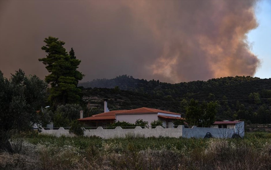 Πυρκαγιά στην Εύβοια. 