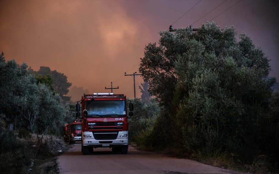 Πυρκαγιά στην Εύβοια. 