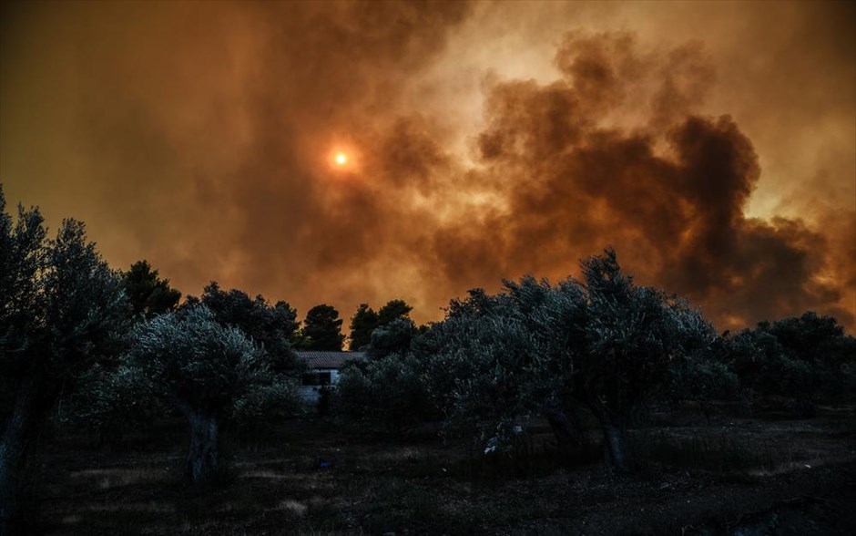 Πυρκαγιά στην Εύβοια. 