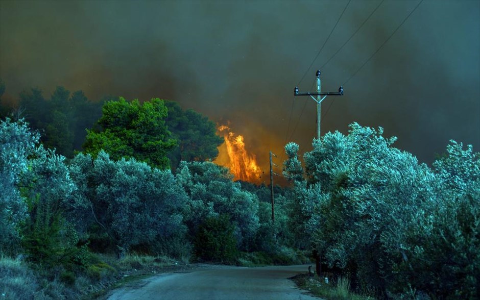 Πυρκαγιά στην Εύβοια. 