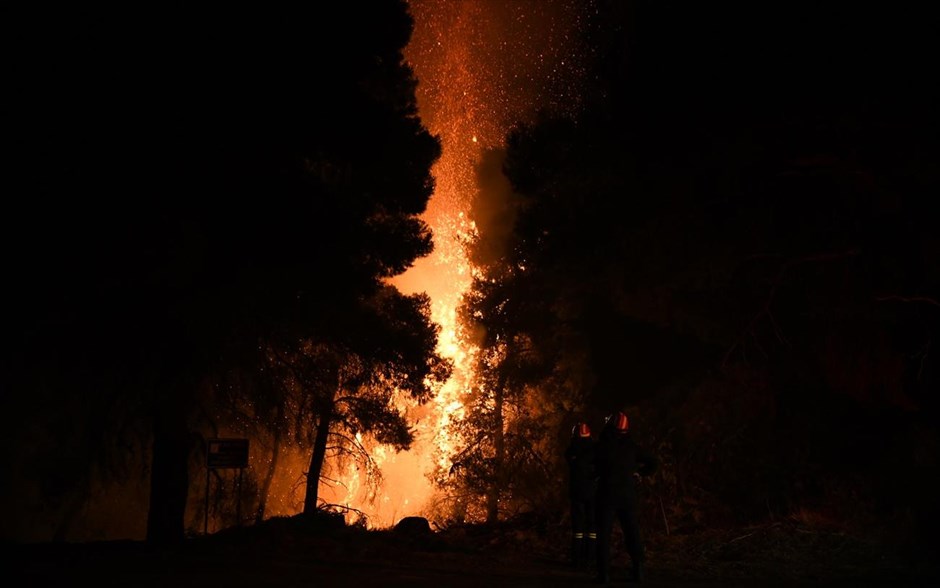 Πυρκαγιά στην Εύβοια. 