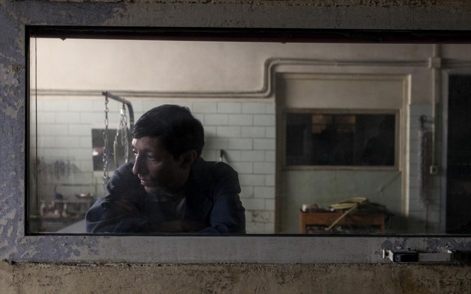 Dogman. Ο Ματέο Γκαρόνε του «Gomorra» επιστρέφει στην αθέατη πλευρά της Ιταλίας με την απίστευτη, κι όμως αληθινή, ιστορία ενός ανθρώπου της διπλανής πόρτας. Στις παρυφές μιας μητρόπολης, όπου ισχύει μόνο ο νόμος του πιο δυνατού, ο Μαρτσέλο, ένας μικροκαμωμένος και ευγενικός άντρας, μοιράζει τις μέρες του ανάμεσα σε ένα κομμωτήριο για σκύλους, την αγάπη του για την κόρη του και μία αμφιλεγόμενη σχέση υποταγής με τον Σιμόν -έναν πρώην πυγμάχο που τρομοκρατεί όλη τη γειτονιά.