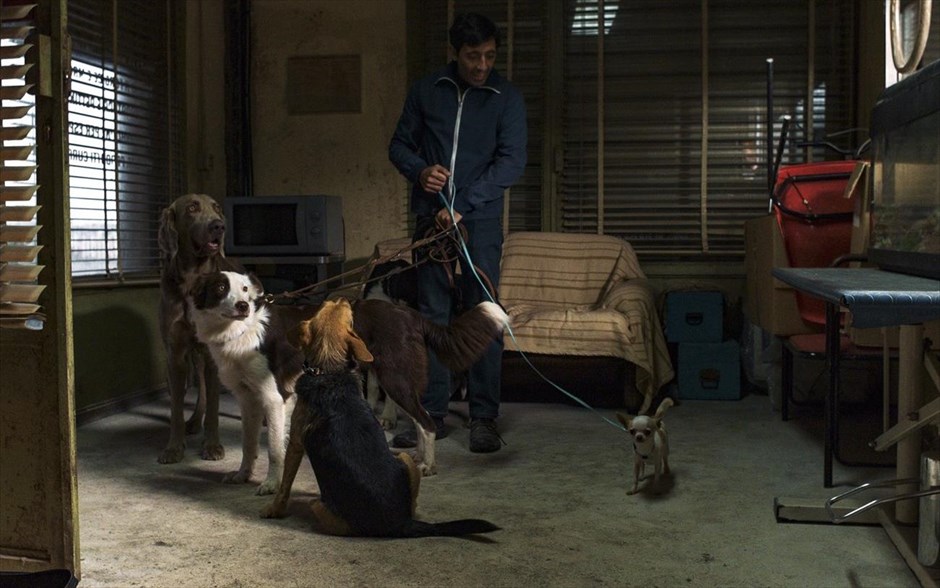 Dogman. Ο Ματέο Γκαρόνε του «Gomorra» επιστρέφει στην αθέατη πλευρά της Ιταλίας με την απίστευτη, κι όμως αληθινή, ιστορία ενός ανθρώπου της διπλανής πόρτας. Στις παρυφές μιας μητρόπολης, όπου ισχύει μόνο ο νόμος του πιο δυνατού, ο Μαρτσέλο, ένας μικροκαμωμένος και ευγενικός άντρας, μοιράζει τις μέρες του ανάμεσα σε ένα κομμωτήριο για σκύλους, την αγάπη του για την κόρη του και μία αμφιλεγόμενη σχέση υποταγής με τον Σιμόν -έναν πρώην πυγμάχο που τρομοκρατεί όλη τη γειτονιά.