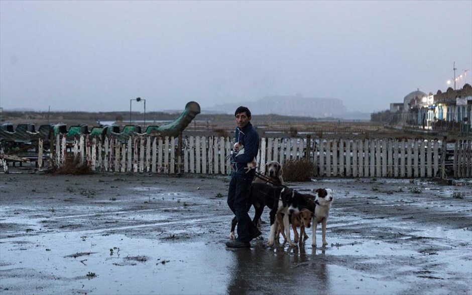 Dogman. Ο Ματέο Γκαρόνε του «Gomorra» επιστρέφει στην αθέατη πλευρά της Ιταλίας με την απίστευτη, κι όμως αληθινή, ιστορία ενός ανθρώπου της διπλανής πόρτας. Στις παρυφές μιας μητρόπολης, όπου ισχύει μόνο ο νόμος του πιο δυνατού, ο Μαρτσέλο, ένας μικροκαμωμένος και ευγενικός άντρας, μοιράζει τις μέρες του ανάμεσα σε ένα κομμωτήριο για σκύλους, την αγάπη του για την κόρη του και μία αμφιλεγόμενη σχέση υποταγής με τον Σιμόν -έναν πρώην πυγμάχο που τρομοκρατεί όλη τη γειτονιά.
