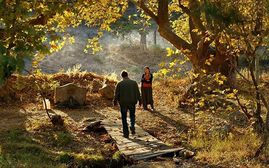 Η Αγρια Αχλαδιά. Ο βραβευμένος με Χρυσό Φοίνικα για τη «Χειμερία Νάρκη» Νουρί Μπιλγκέ Τσεϊλάν υπογράφει άλλο ένα συναρπαστικό&nbsp;σε ιδέες υπαρξιακό δοκίμιο πάνω στις σχέσεις ζωής και τέχνης αλλά και στην αλλαγή ηθών και αξιών στη σύγχρονη τουρκική κοινωνία, με πρωταγωνιστή έναν νεαρό άντρα&nbsp;που έχει μόλις τελειώσει τις σπουδές του κι επιστρέφει στην πόλη του, φιλοδοξώντας να εκδώσει το πρώτο του βιβλίο. Πρωταγωνιστούν οι Ντογκού Ντεμιρκόλ, Μουράτ Σεμσίρ, Χαζάρ Εργκουκλού.