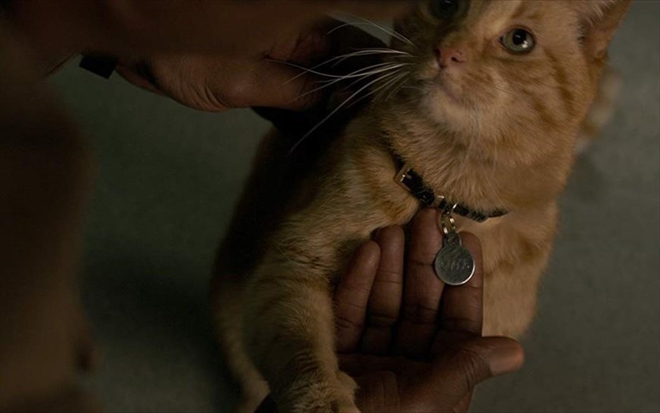 Captain Marvel. Η πιλότος πολεμικών αεροσκαφών Κάρολ Ντάνβερς (Μπρι Λάρσον) μεταμορφώνεται σε μία από τις πιο ισχυρές ηρωίδες του κόσμου. Όταν ένας μαινόμενος διαγαλαξιακός πόλεμος ανάμεσα σε δύο εξωγήινες φυλές καταλήγει στη Γη, η Ντάνβερς και οι σύμμαχοί της βρίσκονται στο μάτι του κυκλώνα. H πρώτη υπερηρωίδα με δική της ταινία στο κινηματογραφικό σύμπαν της Marvel.