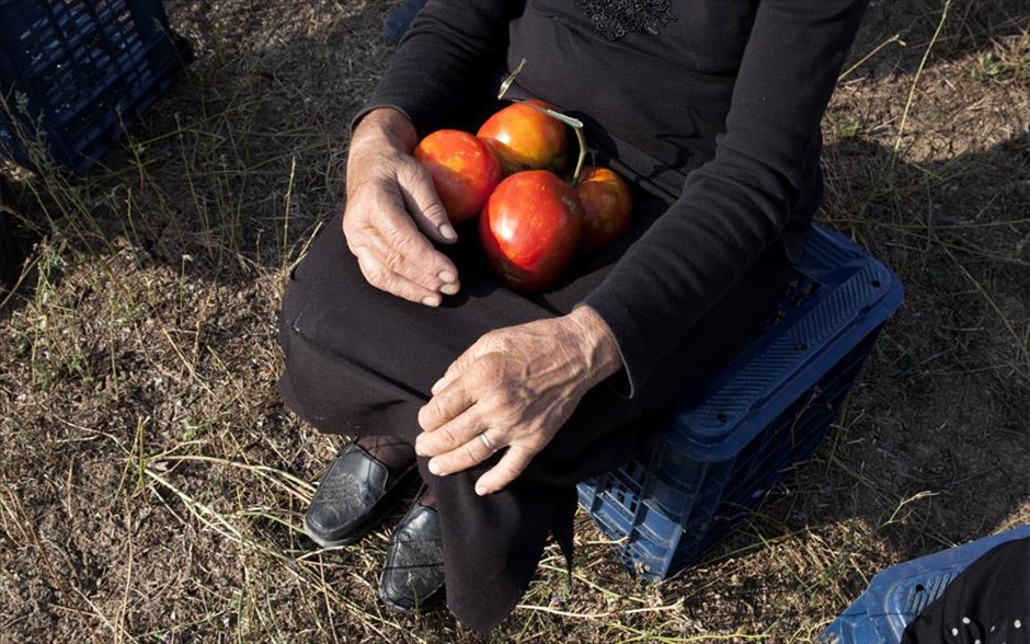 Όταν ο Βάγκνερ Συνάντησε τις Ντομάτες . Το βραβευμένο ντοκιμαντέρ της Μαριάννας Οικονόμου μάς μεταφέρει σε ένα χωριό του θεσσαλικού κάμπου, που αργοπεθαίνει. Δύο ξαδέλφια και πέντε γυναίκες, αποφασίζουν να κάνουν μια νέα αρχή.