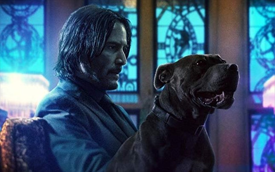 John Wick: Κεφάλαιο 3. Ο Τζον Γουίκ σκοτώνει ένα εξέχον μέλος μιας σκιώδους διεθνούς αδελφότητος και αυτόματα γίνεται στόχος για τους πιο αδίστακτους και σκληρούς εκτελεστές του κόσμου. Επικηρύσσεται για 14 εκατομμύρια δολάρια και, πλέον, σε κάθε του βήμα συναντά και έναν αποφασισμένο δολοφόνο.