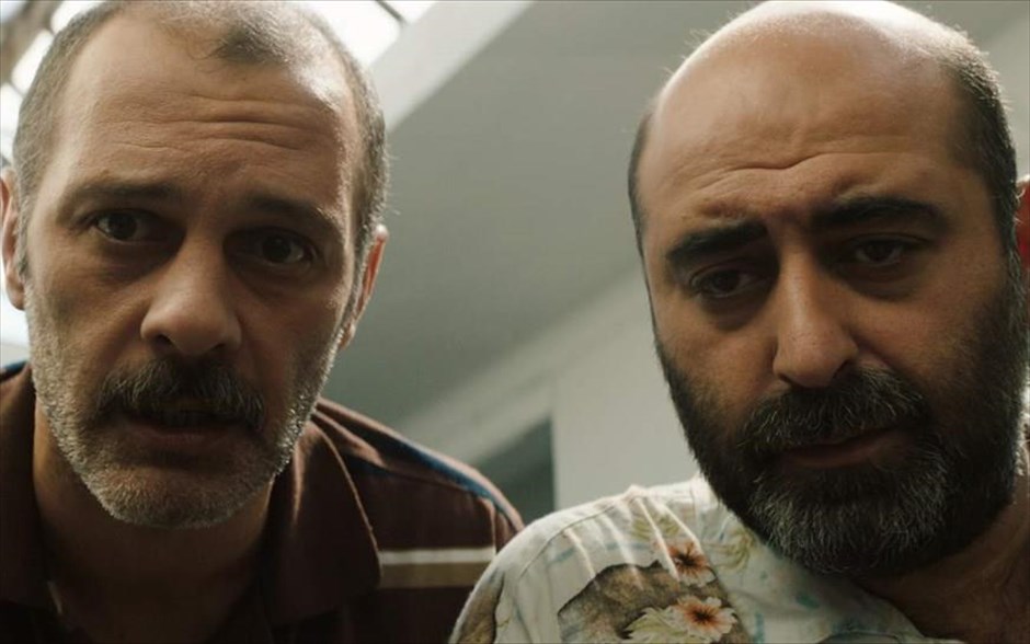 Αναζητώντας τον Χέντριξ. Το ντεμπούτο του Κύπριου Μάριου Πιπερίδη, που κέρδισε το μεγάλο βραβείο στο Tribeca Film Festival της Νέας Υόρκης, και το Βραβείο Ίρις Καλύτερου Σεναρίου από την Ελληνική Ακαδημία Κινηματογράφου, με πρωταγωνιστές τους Αδάμ Μπουσδούκος και Βίκυ Παπαδοπούλου, έχει ήρωες ένα χαριτωμένο σκυλάκι, τον ιδιοκτήτη του -έναν αποτυχημένο μουσικό, και το δισεπίλυτο Κυπριακό.