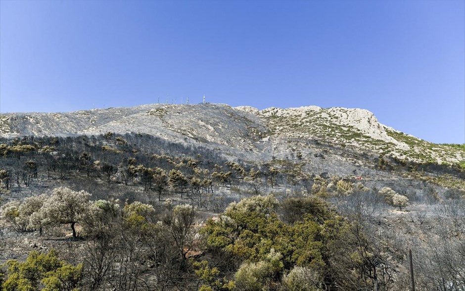 Υμηττός- Πυρκαγιά - φωτιά. 