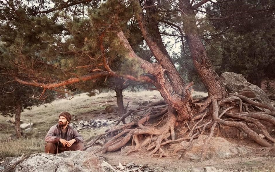 «Τρεις Αδερφές». Τρεις αδερφές, που είχαν σταλεί παρακόρες σε πλούσιες οικογένειες στην πόλη, συναντιούνται ξανά μετά από χρόνια, όταν αναγκάζονται, για διαφορετικούς λόγους, να επιστρέψουν στο πατρικό τους σε ένα φτωχό χωριό της ορεινής Ανατολίας.