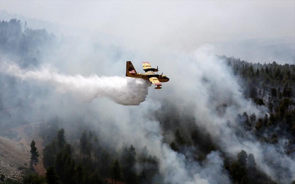 POY  2019. Πυρκαγιά βόρεια των Ψαχνών στην Εύβοια καίει πευκοδάσος NATURA