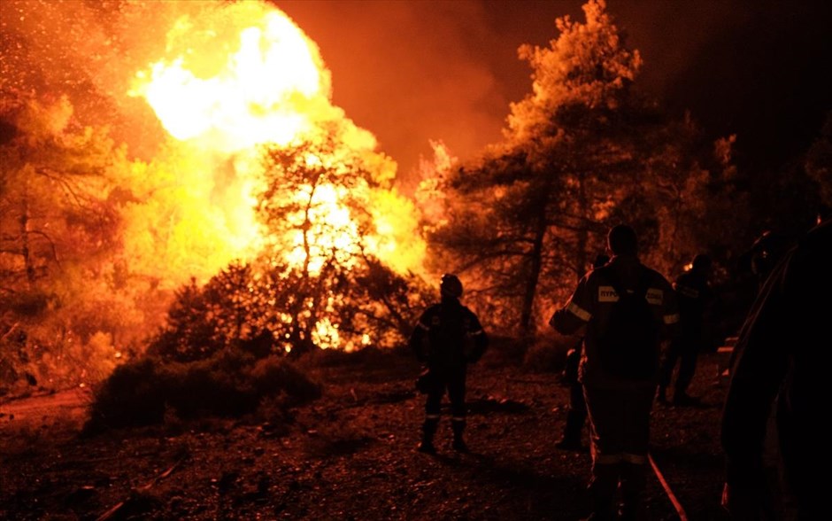 POY  2019. Πυρκαγιά στην Εύβοια