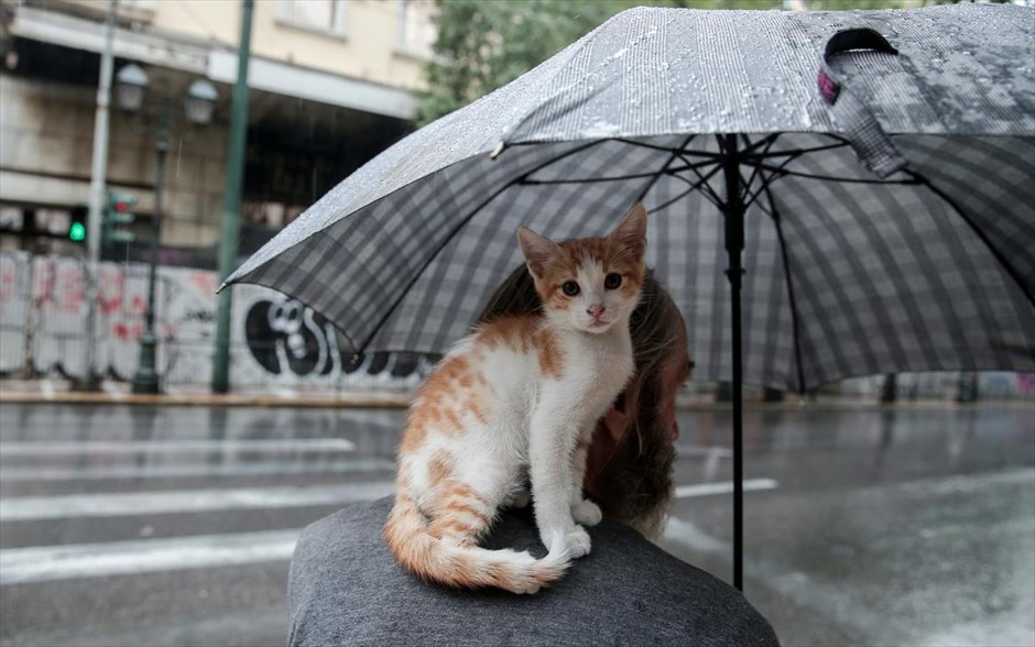 POY  2019. Βροχόπτωση στην Αθήνα