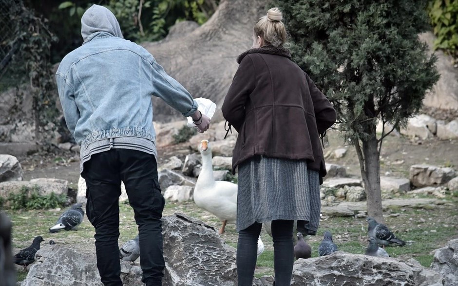 Βόλτα στην Αθήνα. Χειμωνιάτικη βόλτα στον&nbsp;Εθνικό Κήπο&nbsp;της Αθήνας.