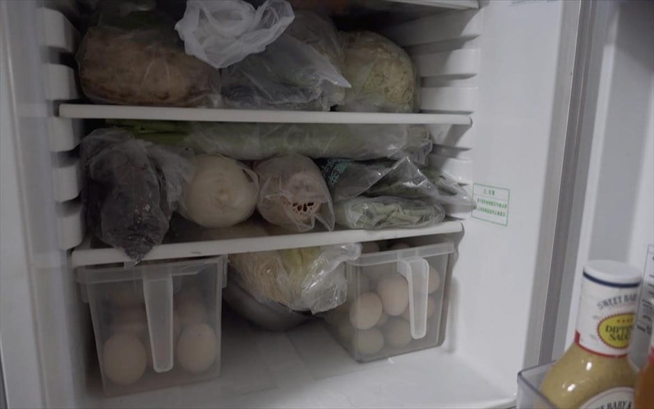 Κοροναϊός-Κίνα- Βουχάν . Οι Vloggers Siu Mingto και Marissa Lindsay δείχνουν τα αποθέματα του ψυγείου τους 