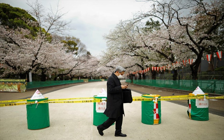 Κορωνοϊός- άνοιξη. Τόκιο, Ιαπωνία