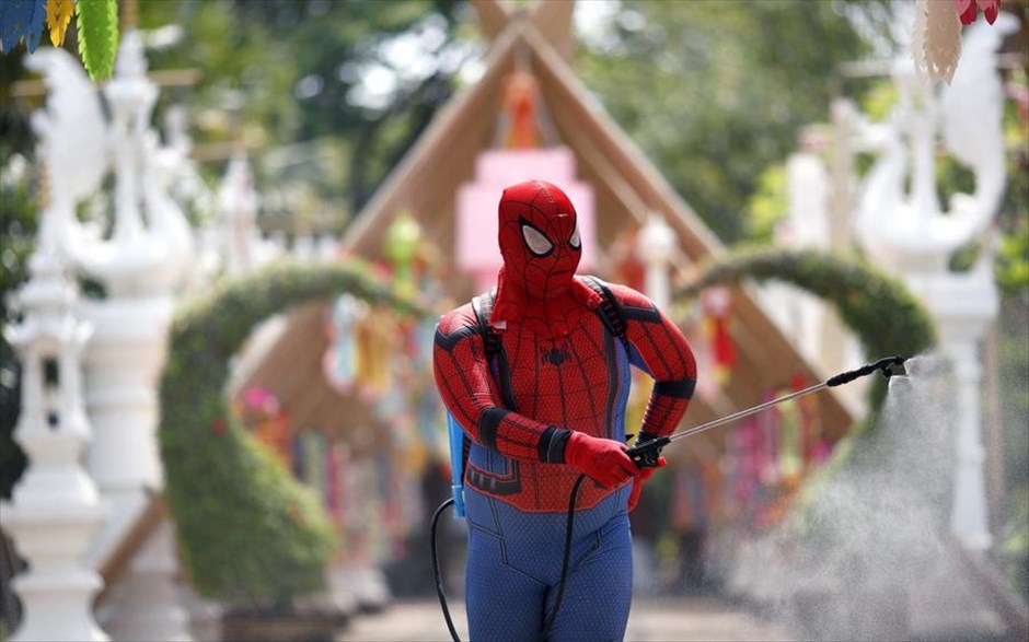 O Spiderman στην καθημερινή εργασία. Ο πυροσβέστης&nbsp;Sittiporn Singthong, φορώντας τη στολή του&nbsp;Spiderman, απολυμαίνει τον βουδιστικό ναό&nbsp; Wat Tha Mai στην περιοχή&nbsp;Σαμούτ Σακόν της&nbsp;Ταϊλάνδης.