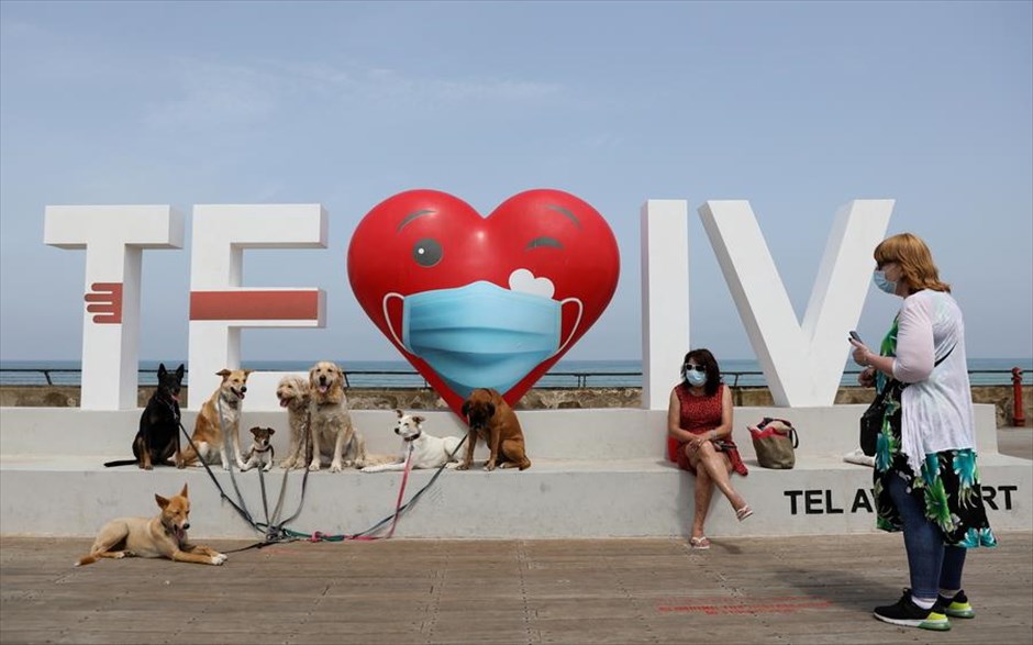 Τετράποδες παρέες . Μια παρέα σκύλων ξεκουράζεται με την οικογένειά της σε παραλιακό δρόμο του Τελ Αβίβ (Ισραήλ).&nbsp;