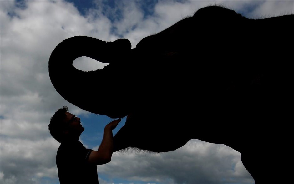 Φροντίδα στη Βρετανία. Εργαζόμενος στο Woburn Safari Park φροντίζει ένα ασιατικό ελέφαντα. Το πάρκο επαναλειτουργεί σήμερα για πρώτη φορά έπειτα από το lockdown που επέβαλε η Βρετανία για να περιορίσει την πανδημία του κορωνοϊού. 