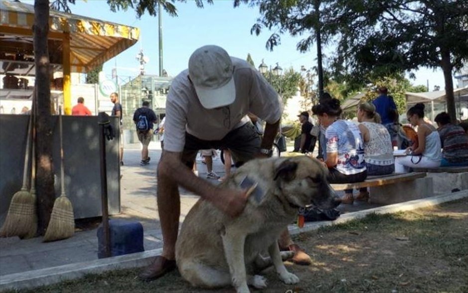 Oι Άγνωστοι Αθηναίοι. Η Αγγελική Αντωνίου («Eduard», «Πράσινη Θάλασσα») απορούσε πώς τα αδέσποτα σκυλιά επιβιώνουν στα στενά του ιστορικού κέντρου, σε μια τόσο μεγάλη, χαοτική πόλη όπως η Αθήνα. Μοναδικό φαινόμενο σε σύγκριση με άλλες ευρωπαϊκές πόλεις, όπου δεν υπάρχουν αδέσποτα σκυλιά. Πήρε την κάμερά της και, επί έξι χρόνια, άρχισε να καταγράφει τη ζωή των σκύλων στο κέντρο. Άνθρωποι οι οποίοι ζουν εκεί εξιστορούν περιστατικά από τη συναναστροφή τους με τα σκυλιά που κατοικούν στην καρδιά της πόλης.