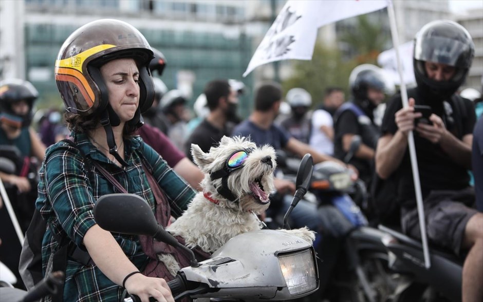 Διαμαρτυρόμενος σκύλος. Μοτοπορεία διαμαρτυρίας από διανομείς φαγητού και κούριερ, Αθήνα