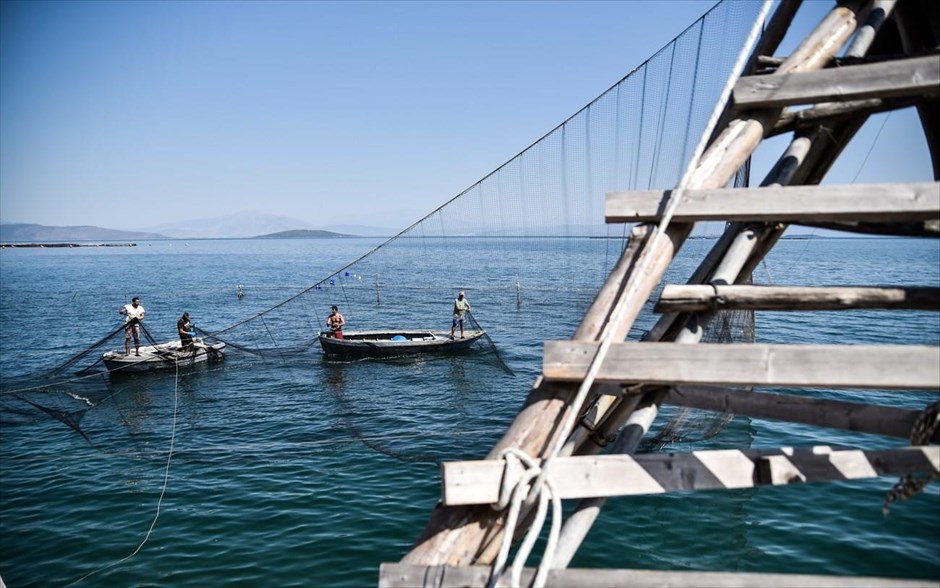 Αλλιώτικο ψάρεμα. Νταλιάνι. Ένα είδος ψαρέματος που το συναντάς στην Πρέβεζα, Ελλάδα