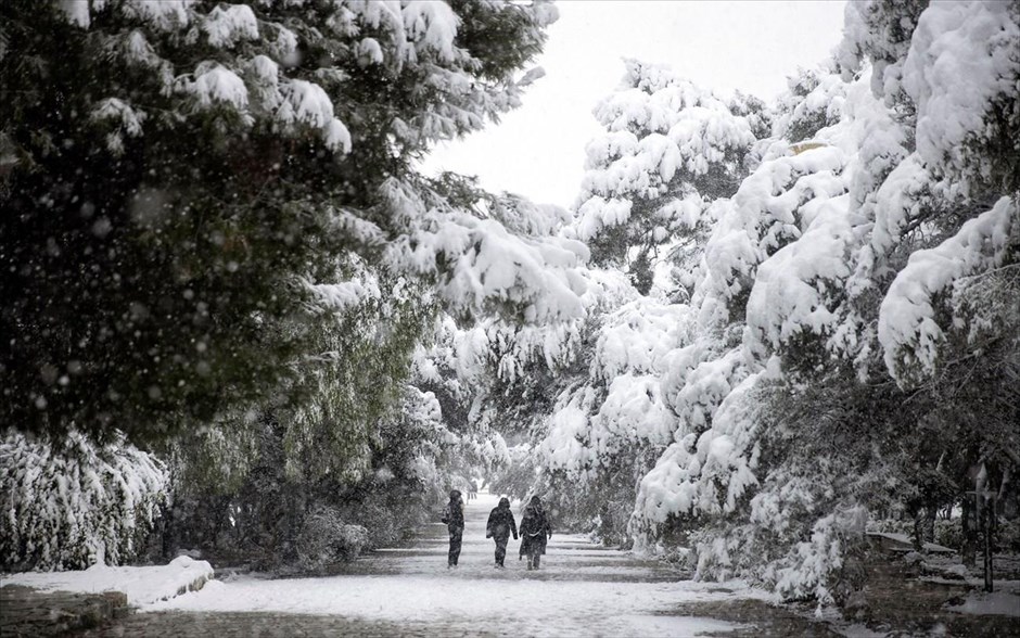 Χιόνι- χιονόπτωση- καιρός- κρύο- Αθήνα. 
