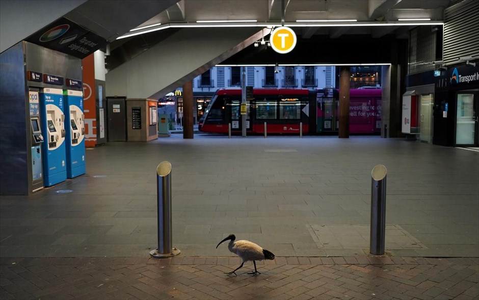 Παράταση του λοκντάουν στο Σίδνεϊ. A lone bird walks past the quiet Circular Quay train station during a lockdown to curb the spread of a coronavirus disease (COVID-19) outbreak in Sydney, Australia, July 28, 2021. REUTERS/Loren Elliott TPX IMAGES OF THE DAY