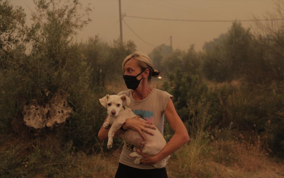 Πυρκαγιά- Εύβοια. Γυναίκα κρατά σκύλο που διέσωσε κατά τη διάρκεια της πυρκαγιάς στο Πευκί.