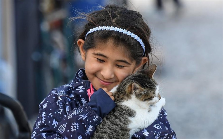 POY 2021. Ένα κορίτσι κρατάει στην αγκαλιά του ένα γατάκι σε κέντρο υποδοχής μεταναστών στη Μυτιλήνη.