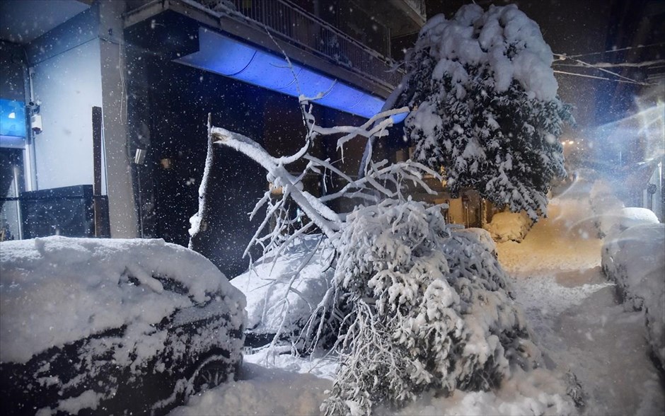 Χιονόπτωση - Αθήνα - Πτώση δέντρου. 
