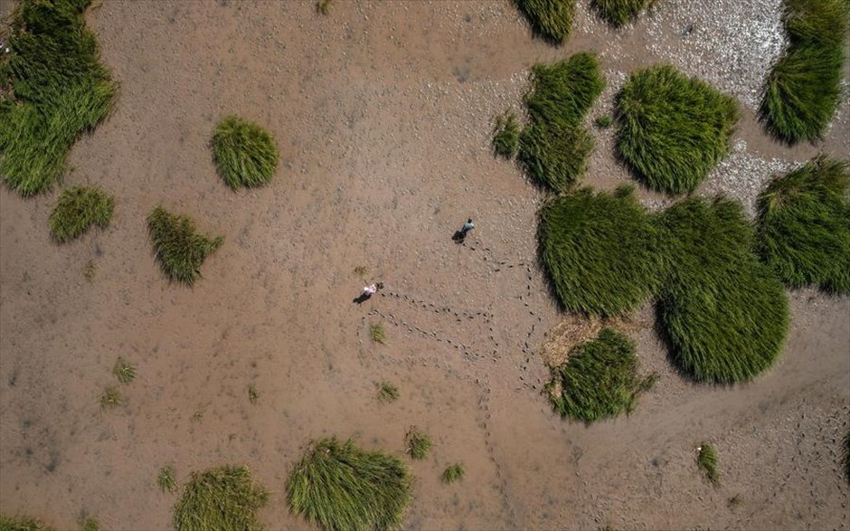 Υγρότοπος στην Κίνα. Αεροφωτογραφία από τον υγρότοπο Tiaozini, στην ακτογραμμή της Κίτρινης Θάλασσας κοντά στο Γιαντσένγκ της Κίνας. 