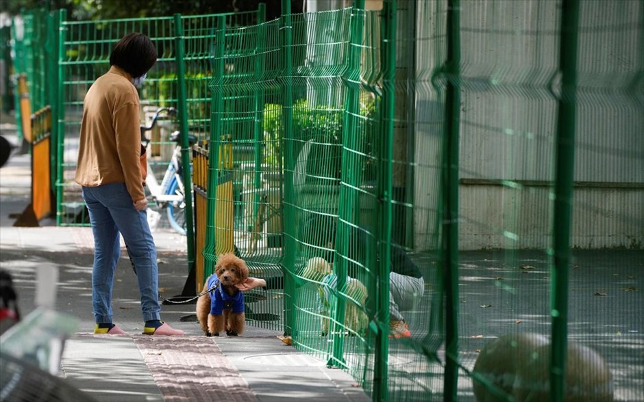 Κορωνοϊός στη Σαγκάη. Μια γυναίκα περνάει με ένα σκύλο μπροστά από μια περιοχή που βρίσκεται σε καραντίνα στη Σαγκάη, και ενώ η Κίνα αντιμετωπίζει ένα νέο ξέσπασμα του κορωνοϊού.