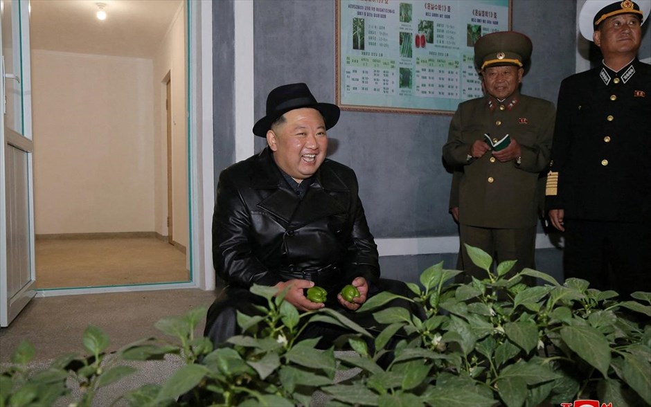Ποζάροντας με τις πιπεριές. Ο ηγέτης της Βόρειας Κορέας Κιμ Γιονγκ Ουν παρευρίσκεται στα εγκαίνια του θερμοκηπίου Ryonpho για τον εορτασμό της επετείου της ίδρυσης του κυβερνώντος Εργατικού Κόμματος, στη Βόρεια Κορέα. Δεν είναι γνωστή η ημερομηνία κατά την οποία τραβήχτηκε η φωτογραφία, την οποία δημοσίευσε στις 11 Οκτωβρίου 2022 το Κεντρικό Πρακτορείο Ειδήσεων της Βόρειας Κορέας (KCNA).