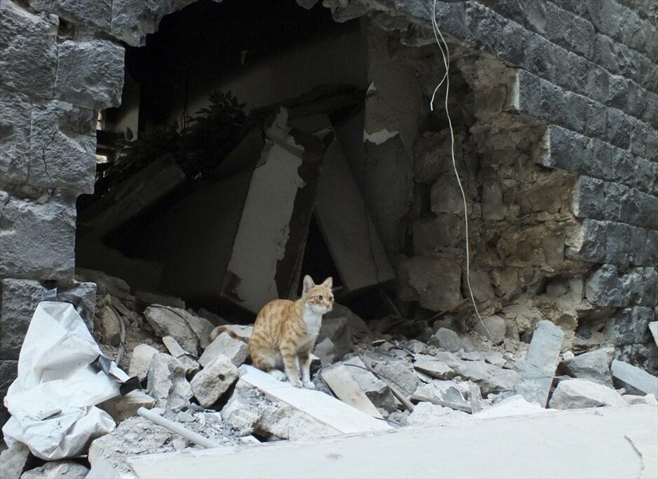 Συρία: Χομς, μία κατεστραμμένη πόλη #11. Εκτός ελέγχου είναι η κατάσταση στη Συρία με τον αριθμό των θυμάτων και των προσφύγων να αυξάνονται δραματικά. Μία από τις πόλεις που έχει πληγεί σε μεγάλο βαθμό από τις συγκρούσεις των κυβερνητικών δυνάμεων με τους αντάρτες και τους βομβαρδισμούς είναι η πόλη Χομς στη δυτική Συρία. Κτήρια, σχολεία, εκκλησίες, νοσοκομεία, σπίτια, και ολόκληρες συνοικίες έχουν καταστραφεί ολοσχερώς και το μόνο που ακούγεται είναι οι ήχοι από τα πολυβόλα και τις οβίδες.