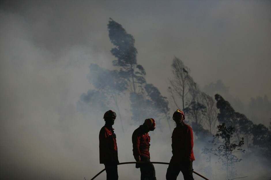 Πορτογαλία: 700 χιλιάδες στρέμματα δασικής έκτασης στις φλόγες #12. Αλβαϊαζέρε, Ουρέμ –