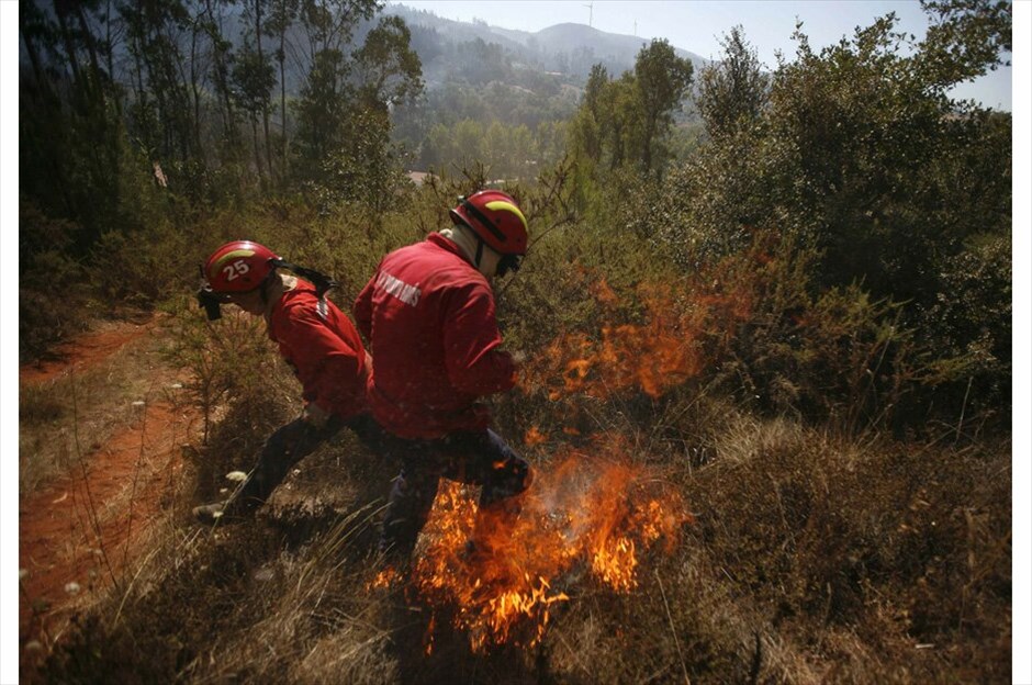 Πορτογαλία: 700 χιλιάδες στρέμματα δασικής έκτασης στις φλόγες #14. Αλβαϊαζέρε, Ουρέμ –