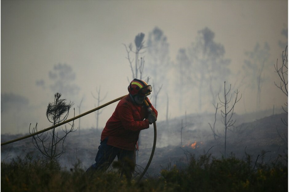 Πορτογαλία: 700 χιλιάδες στρέμματα δασικής έκτασης στις φλόγες #18. Μανγκουάλντε –