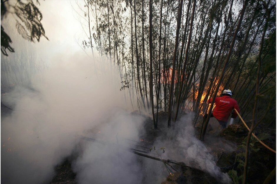 Πορτογαλία: 700 χιλιάδες στρέμματα δασικής έκτασης στις φλόγες #19. Μανγκουάλντε –