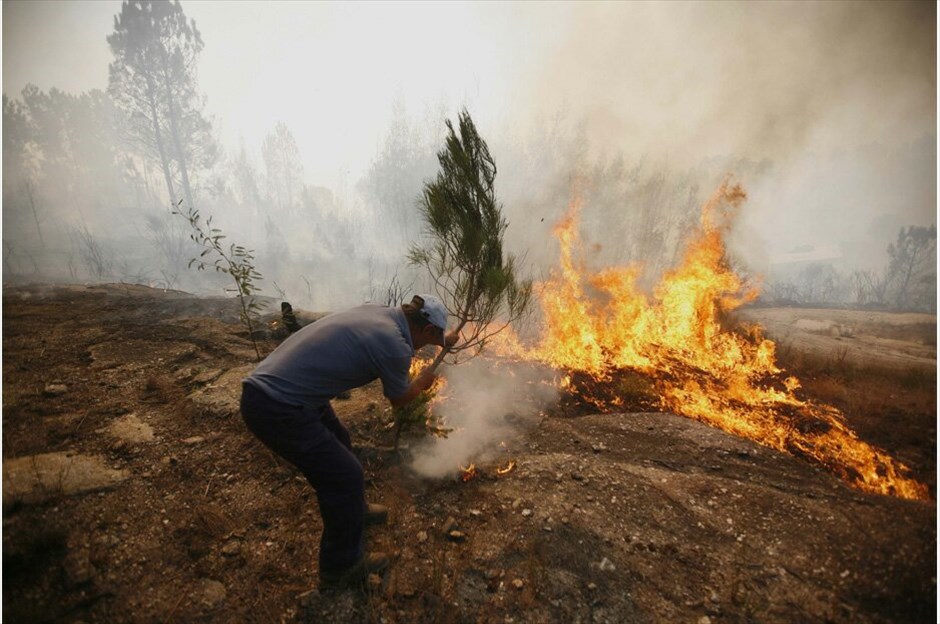 Πορτογαλία: 700 χιλιάδες στρέμματα δασικής έκτασης στις φλόγες #28. Μανγκουάλντε –