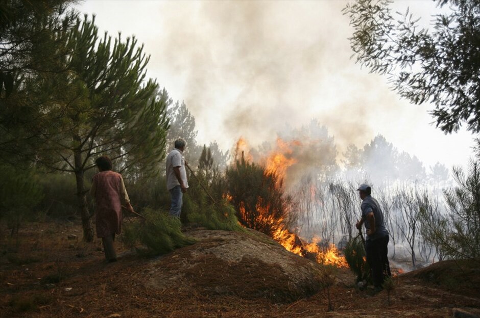 Πορτογαλία: 700 χιλιάδες στρέμματα δασικής έκτασης στις φλόγες #29. Μανγκουάλντε –