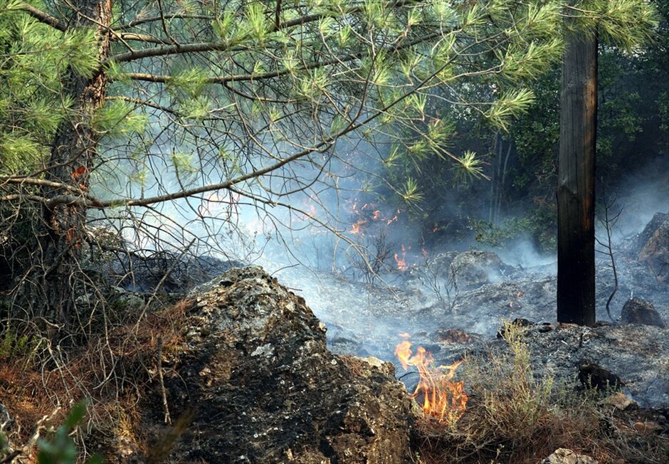 Μαίνεται για τρίτη ημέρα η φωτιά στη Χίο #7. Μαίνεται για τρίτη μέρα η πύρινη λαίλαπα στη Χίο, με το πιο επικίνδυνο μέτωπο αυτή την ώρα να είναι στο Πυργί. Στάχτη έχουν γίνει περίπου 70.000 στρέμματα καλλιεργειών και δασικής έκτασης, ενώ μεγάλη είναι η καταστροφή για τους μαστιχοκαλλιεργητές στα χωριά Λιθί, Ελάτα, Βέσσα και Αρμόλια. Χάρη στις υπεράνθρωπες προσπάθειες των πυροσβεστών ανακόπηκε νωρίτερα η πορεία του μετώπου από Αρμόλια προς Καλαμωτή. Δύσκολη είναι η κατάσταση στους Ολύμπους και το τρίτο μεγάλο μέτωπο βρίσκεται στην περιοχή της Παναγιάς Σικελιάς.