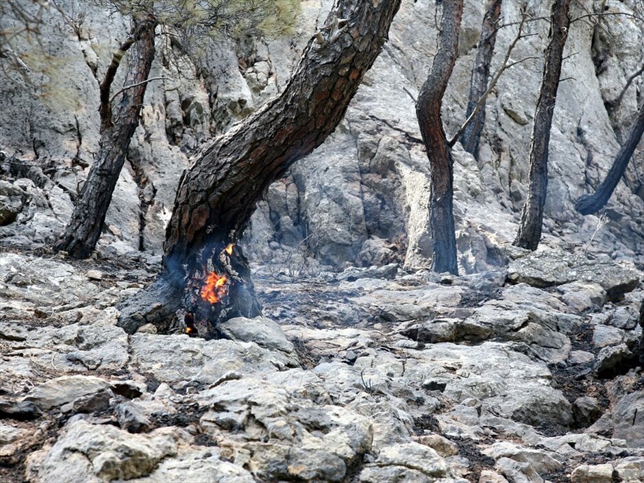 Μαίνεται για τρίτη ημέρα η φωτιά στη Χίο #11. Μαίνεται για τρίτη μέρα η πύρινη λαίλαπα στη Χίο, με το πιο επικίνδυνο μέτωπο αυτή την ώρα να είναι στο Πυργί. Στάχτη έχουν γίνει περίπου 70.000 στρέμματα καλλιεργειών και δασικής έκτασης, ενώ μεγάλη είναι η καταστροφή για τους μαστιχοκαλλιεργητές στα χωριά Λιθί, Ελάτα, Βέσσα και Αρμόλια. Χάρη στις υπεράνθρωπες προσπάθειες των πυροσβεστών ανακόπηκε νωρίτερα η πορεία του μετώπου από Αρμόλια προς Καλαμωτή. Δύσκολη είναι η κατάσταση στους Ολύμπους και το τρίτο μεγάλο μέτωπο βρίσκεται στην περιοχή της Παναγιάς Σικελιάς.