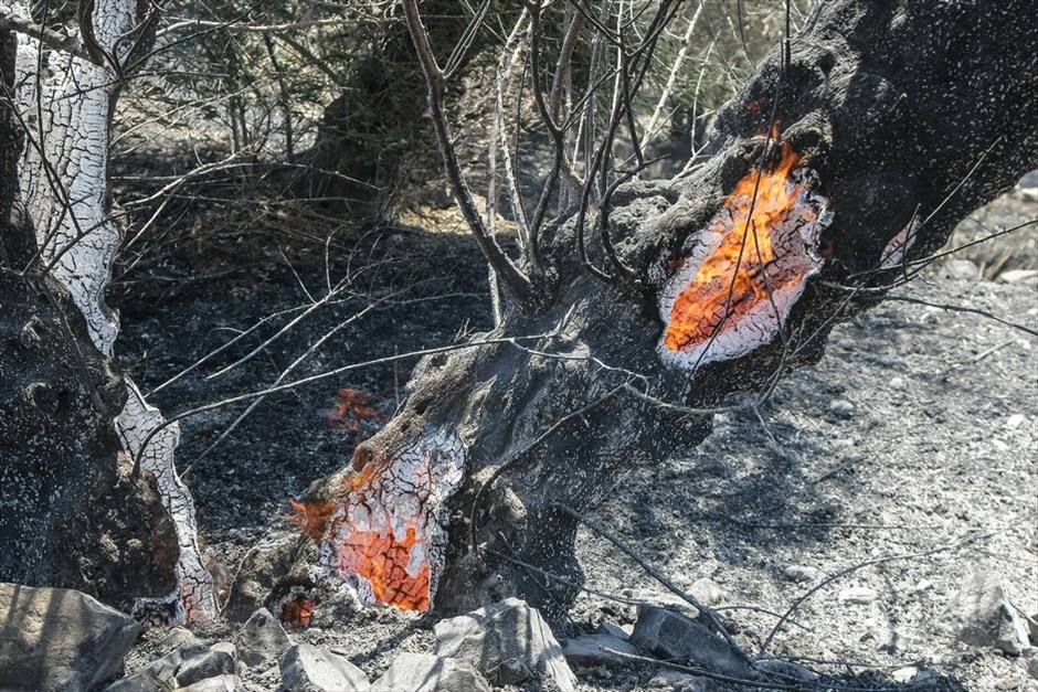 Μαίνεται η φωτιά στην Κρήτη #5. Σε πύρινο κλοιό παραμένει η Κρήτη, με τα μέτωπα της φωτιάς να εξαπλώνονται σε Ηράκλειο και Ρέθυμνο. Οι αρχές προχώρησαν στην εκκένωση χωριών στο δήμο Βιάννου Ηρακλείου εξαιτίας μεγάλης πυρκαγιάς που βρίσκεται σε εξέλιξη στην περιοχή, καίγοντας χορτολιβαδική έκταση. Τα ξημερώματα εκκενώθηκε η Κάτω Βιάννος και τμήμα του χωριού Χόνδρος, ενώ προληπτικά εκκενώθηκε και το χωριό Μάρθα.