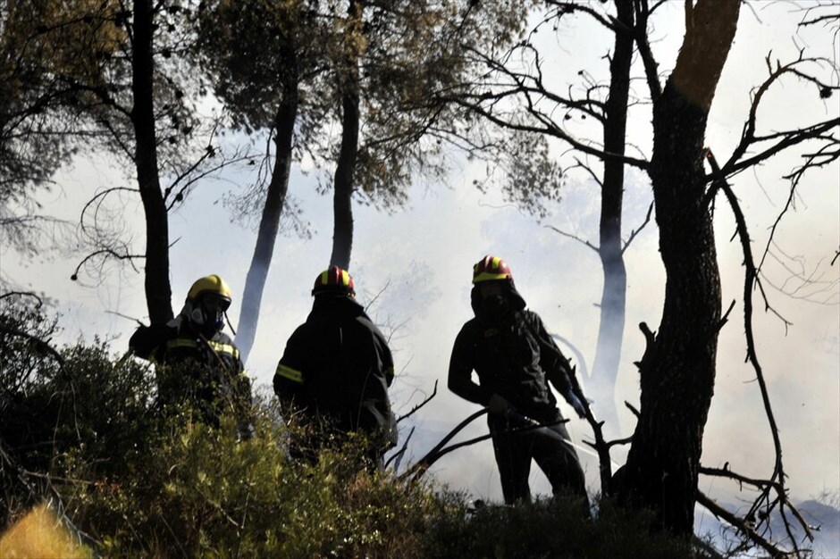 Mεγάλη δασική πυρκαγιά στην Κερατέα #21. Σε εξέλιξη βρίσκεται μεγάλη δασική πυρκαγιά που εκδηλώθηκε το μεσημέρι στην Κερατέα. Η φωτιά μαίνεται στην περιοχή του Διονύσου και απειλεί σπίτια στους οικισμούς Τρέπες και Δασκαλειό, ενώ έχουν προκληθεί ζημιές σε πέντε κατοικίες. Ενισχύθηκαν οι πυροσβεστικές δυνάμεις.