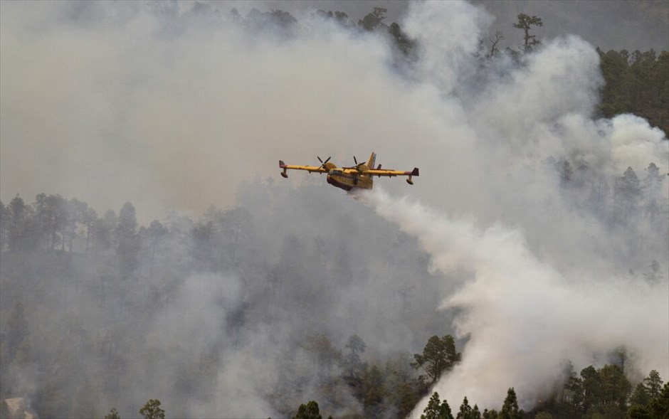 Ισπανία: Καταστροφική πυρκαγιά στην Τενερίφη #8. Εκτός ελέγχου παραμένει εδώ και ημέρες η μεγάλη πυρκαγιά που απειλεί το φυσικό δρυμό του όρους Τέιντε, στο αρχιπέλαγος των Κανάριων Νησιών. Περίπου 800 πυροσβέστες μάχονται με τις φλόγες, το δυνατό άνεμο και τις υψηλές θερμοκρασίες που επικρατούν στην περιοχή. Ο δρυμός αυτός, στο νησί της Τενερίφης, έχει ανακηρυχθεί από την Unesco μνημείο παγκόσμιας κληρονομιάς.Η πυρκαγιά εκτείνεται σε δύο μέτωπα και οι άνδρες της πυροσβεστικής υπηρεσίας προσπαθούν να αποφύγουν την επέκτασή της προς τις κατοικημένες περιοχές αλλά και προς μια ζώνη με χαράδρες, όπου λόγω του δύσβατου εδάφους και της πυκνής βλάστησης θα ήταν αδύνατον να την ελέγξουν.