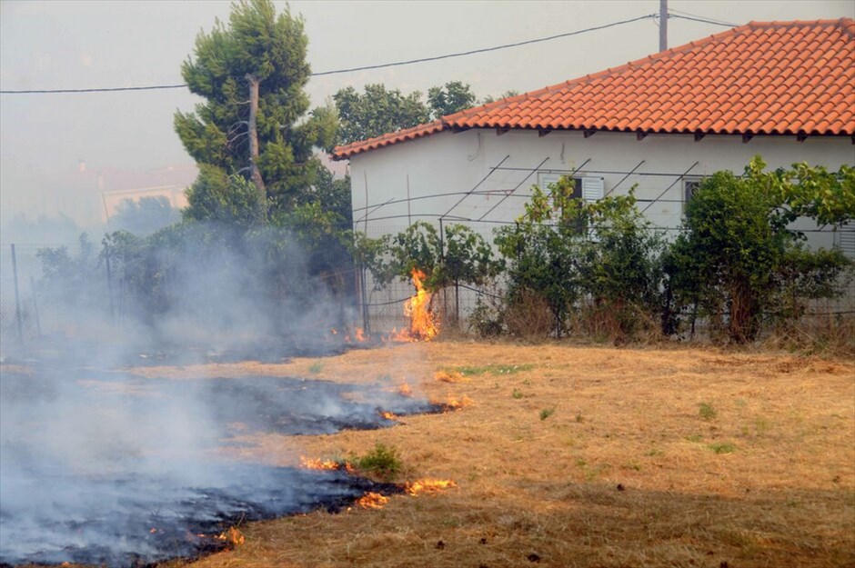 Μαίνεται η φωτιά στην Αχαΐα #20. Ανεξέλεγκτη εξακολουθεί να μαίνεται η πυρκαγιά που εκδηλώθηκε τα ξημερώματα στα Αργυρά Αχαΐας, λόγω των ισχυρών ανέμων που πνέουν στην περιοχή. Οι φλόγες έχουν πλησιάσει επικίνδυνα τους οικισμούς Κάτω Καστρίτσι και Πλατάνι.